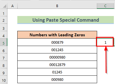 Paste Special Command