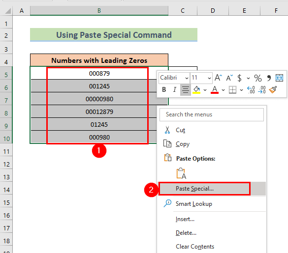 Paste Special Command